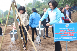 Quận Hoàn Kiếm: Trồng thêm nhiều cây xanh tại vườn rừng bờ vở sông Hồng