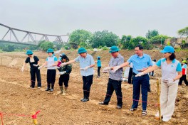 Ba Đình: Phụ nữ ra quân phủ xanh bờ vở sông Hồng