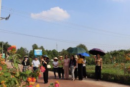 Cụm thi đua số 4: Tiếp tục duy trì và nhân rộng những đoạn đường, tuyến phố bích họa, nở hoa