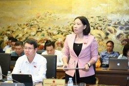 Quá trình hòa giải phải quan tâm bảo vệ trẻ em, phụ nữ, người cao tuổi, người khuyết tật, người dân tộc thiểu số