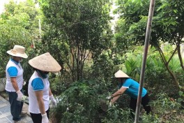 Hội LHPN xã Liên Minh duy trì hiệu quả hoạt động “Ngày cuối tuần xanh”